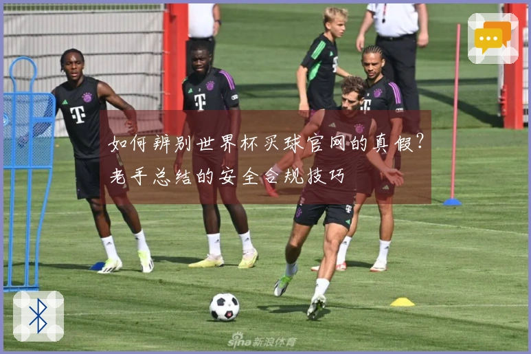 如何辨别世界杯买球官网的真假?老手总结的安全合规技巧