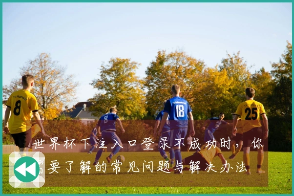 世界杯下注入口登录不成功时，你需要了解的常见问题与解决办法